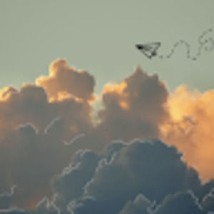 Meet your Posher, Aden